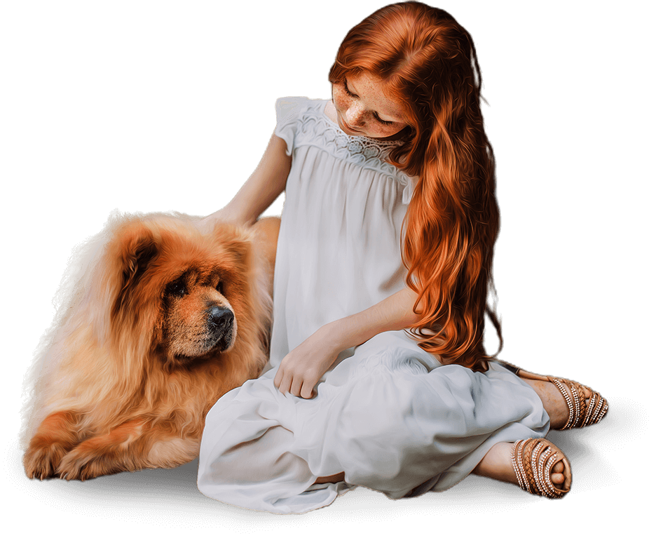 Owner interacting with a happy dog in a clean indoor environment